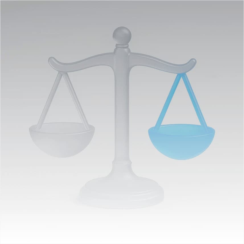 Borrowing & leverage limits